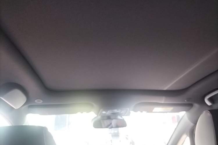 Used BYD Dolphin 2021 401km Knight Edition Headliner