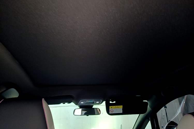 Used BYD Dolphin 2021 405 km Fashion Edition Headliner