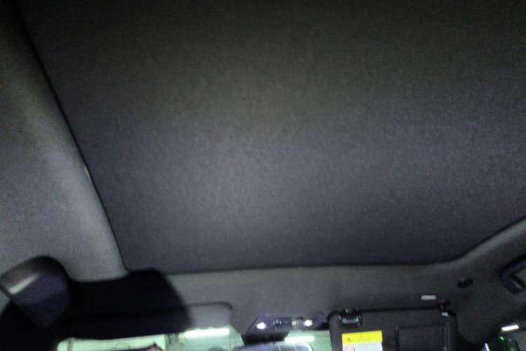 Used BYD Dolphin 2021 405 km Fashion Edition Headliner