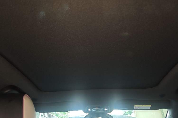 Used BYD Dolphin 2021 401km Knight Edition Headliner