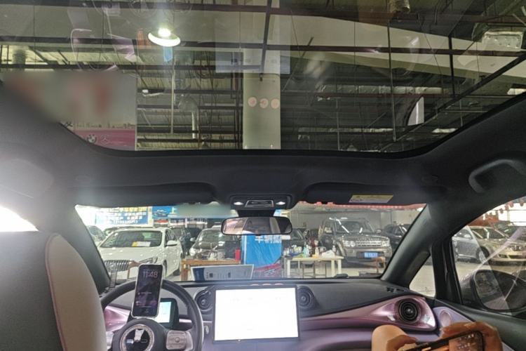 Used BYD Dolphin 2021 405 km Fashion Edition Headliner