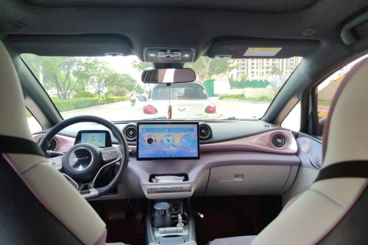 Used BYD Dolphin 2021 405 km Fashion Edition Headliner