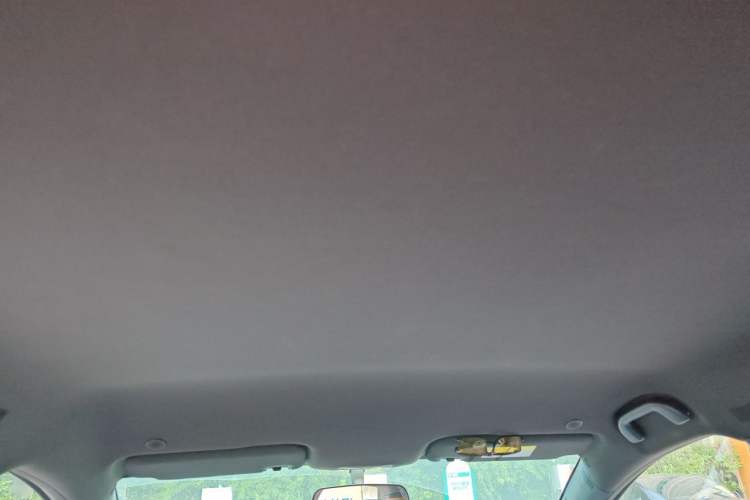 Used BYD Dolphin 2021 405 km Free Version Headliner