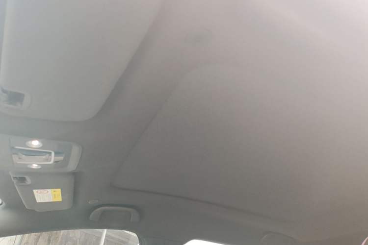 Used BYD Dolphin 2021 405 km Fashion Edition Headliner