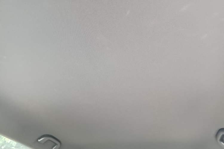 Used BYD Dolphin 2021 405 km Free Version Headliner