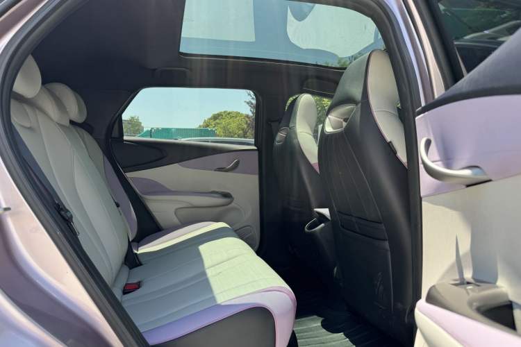 Used BYD Dolphin 2021 405 km Fashion Edition Headliner