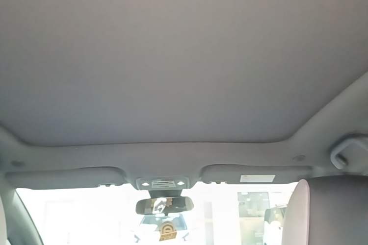 Used BYD Dolphin 2021 405 km Fashion Edition Headliner