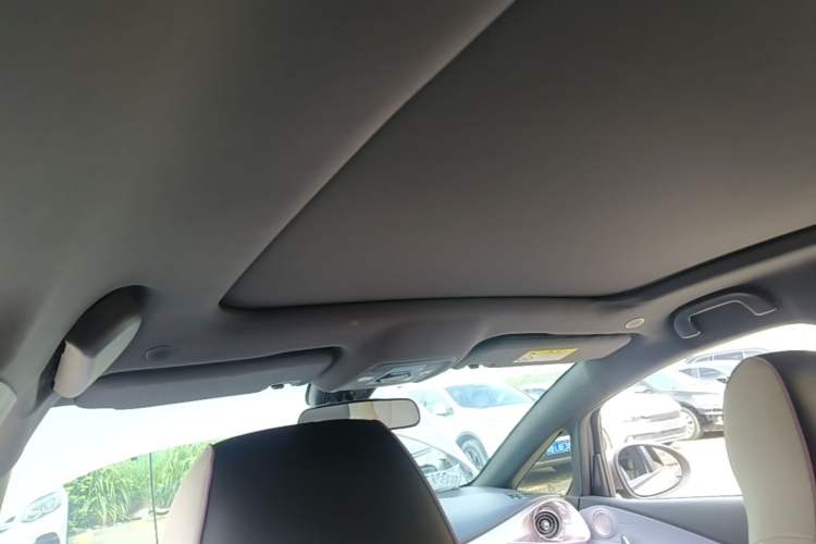 Used BYD Dolphin 2021 405 km Fashion Edition Headliner