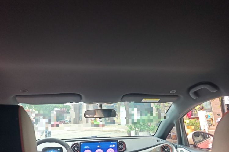 Used BYD Dolphin 2021 405 km Free Version Headliner