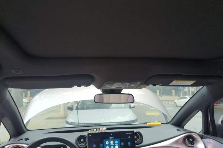 Used BYD Dolphin 2021 405 km Fashion Edition Headliner