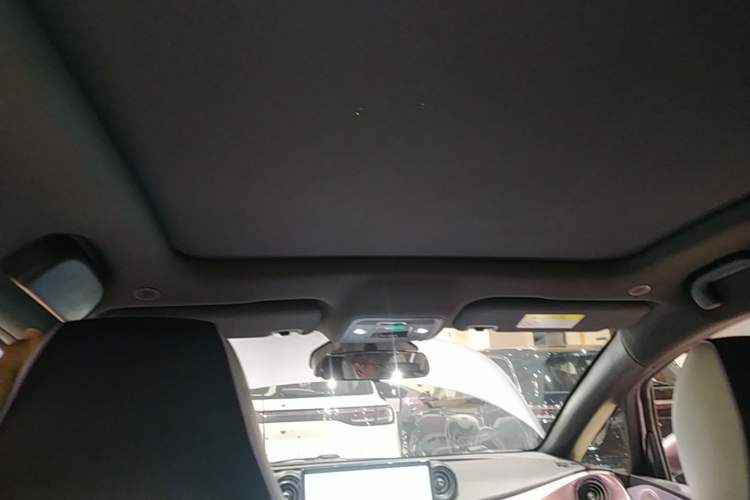 Used BYD Dolphin 2021 401km Knight Edition Headliner