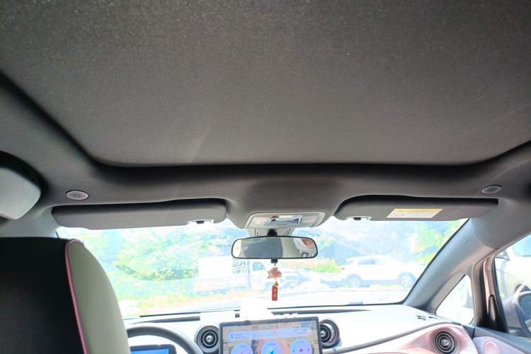 Used BYD Dolphin 2021 405 km Fashion Edition Headliner