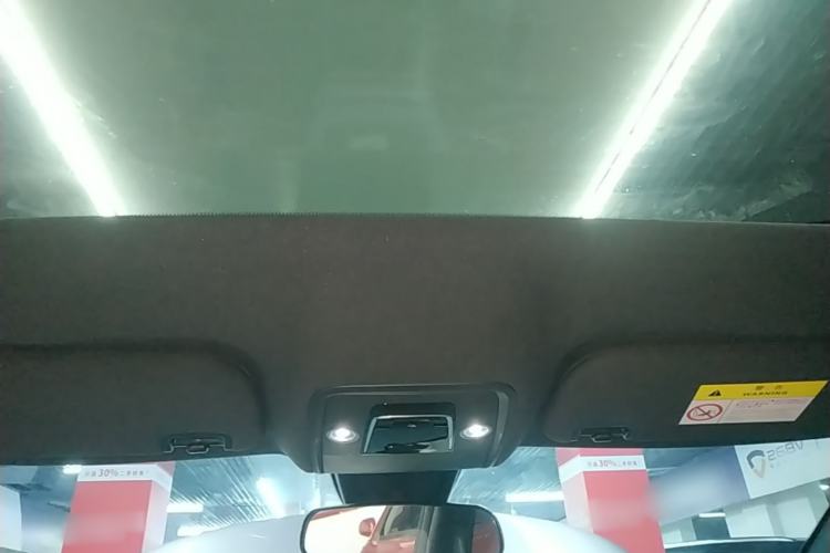 Used BYD Dolphin 2021 405 km Fashion Edition Headliner