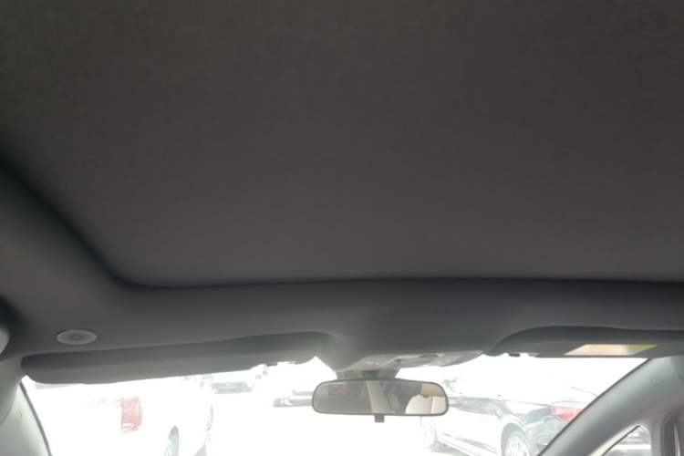 Used BYD Dolphin 2021 405 km Fashion Edition Headliner