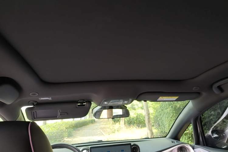 Used BYD Dolphin 2021 401km Knight Edition Headliner