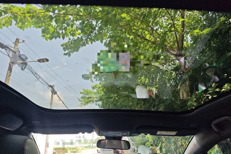 Used BYD Dolphin 2021 405 km Fashion Edition Headliner