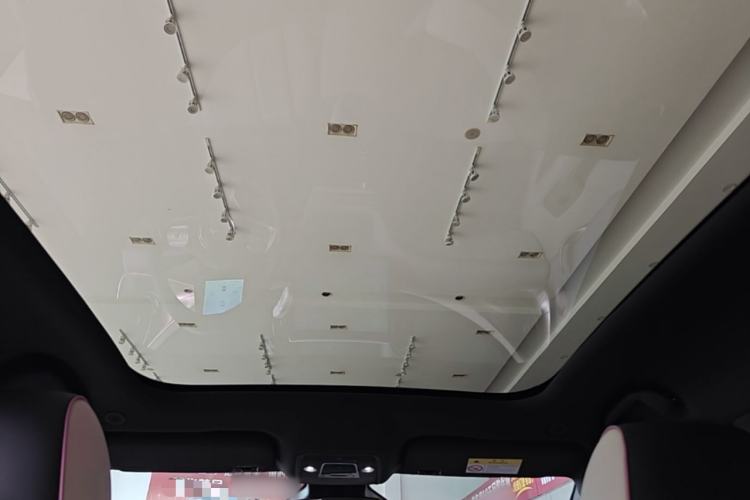 Used BYD Dolphin 2021 401km Knight Edition Headliner