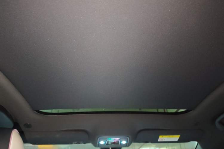 Used BYD Dolphin 2021 405 km Fashion Edition Headliner