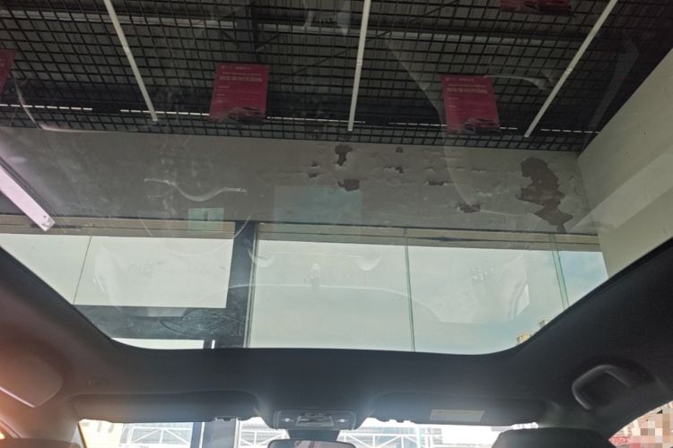 Used BYD Dolphin 2021 405 km Fashion Edition Headliner