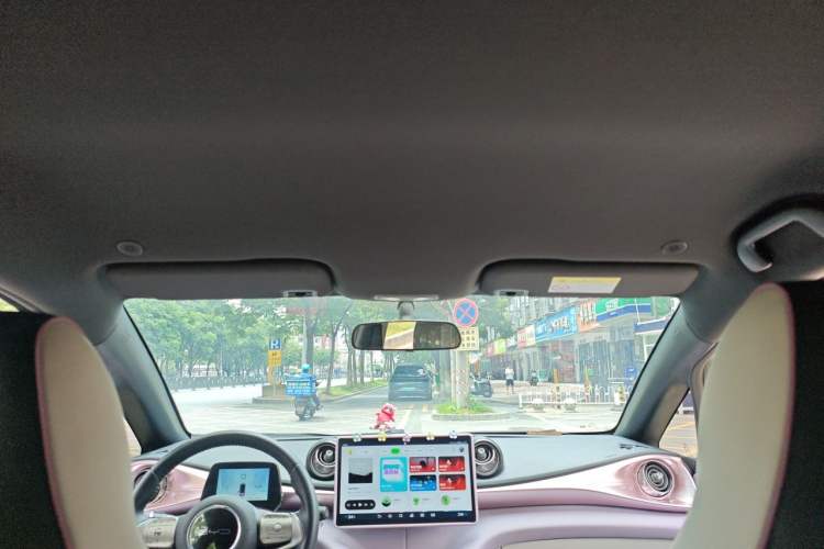 Used BYD Dolphin 2021 405 km Free Version Headliner