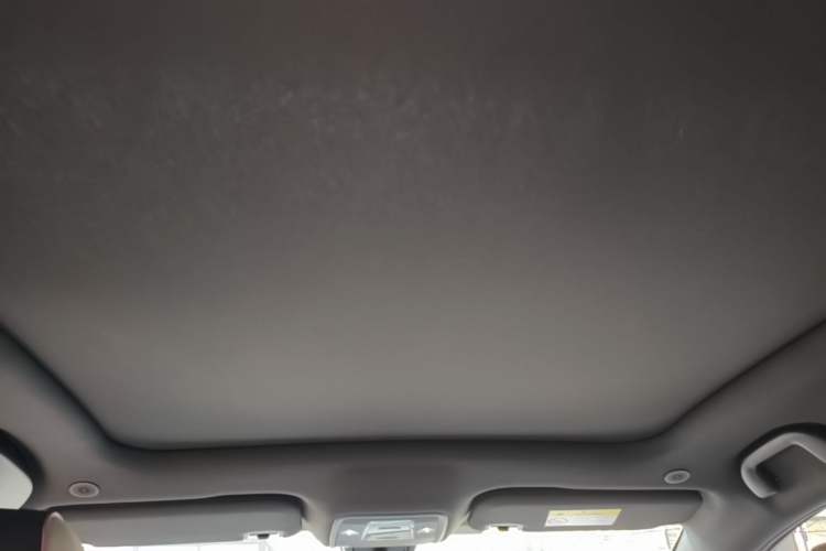 Used BYD Dolphin 2021 405 km Fashion Edition Headliner