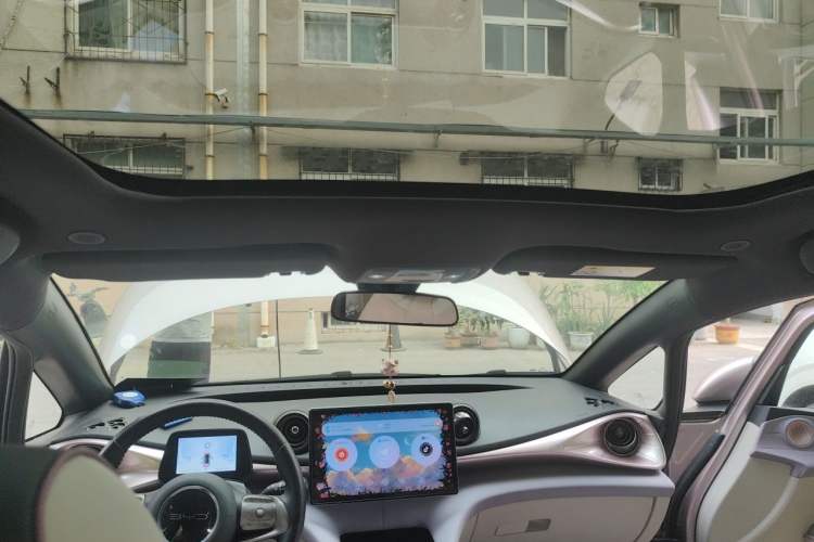 Used BYD Dolphin 2021 405 km Fashion Edition Headliner