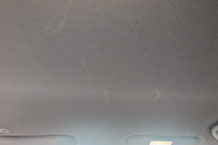 Used BYD Dolphin 2021 405 km Free Version Headliner