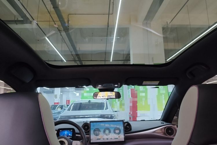 Used BYD Dolphin 2021 405 km Free Version Headliner