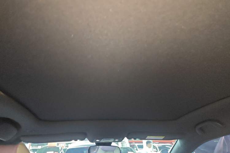 Used BYD Dolphin 2021 405 km Fashion Edition Headliner