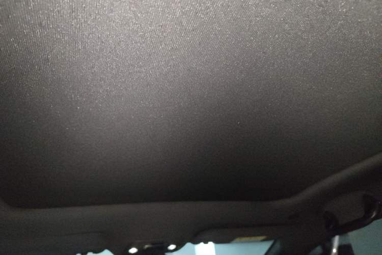 Used BYD Dolphin 2021 401km Knight Edition Headliner