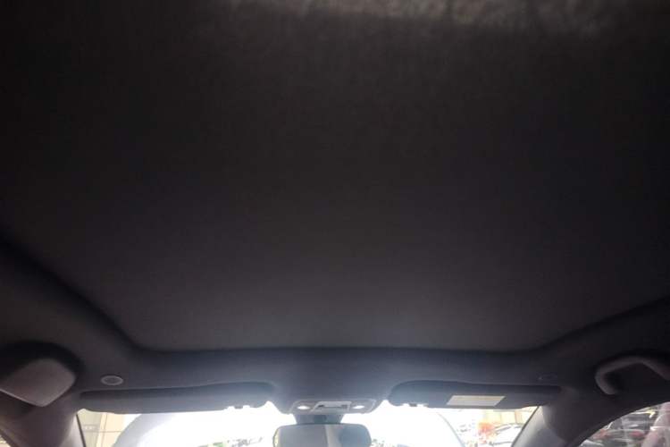 Used BYD Dolphin 2021 405 km Fashion Edition Headliner