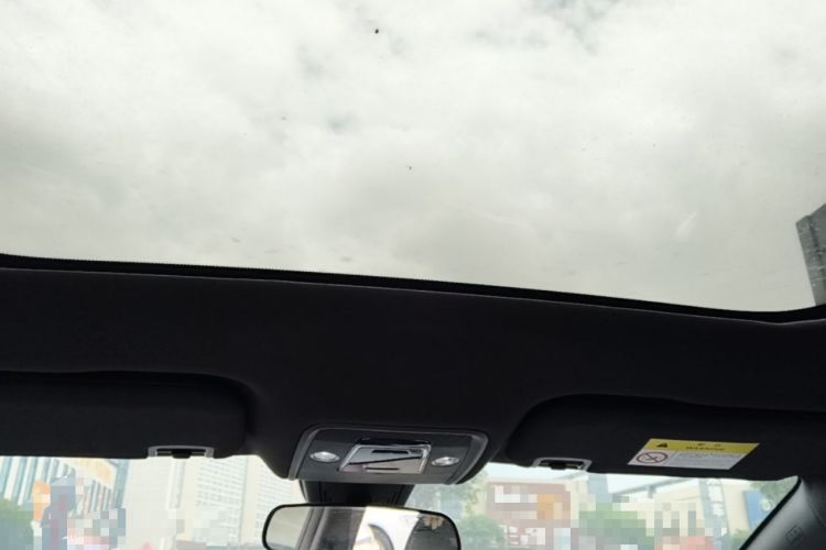Used BYD Dolphin 2021 405 km Fashion Edition Headliner