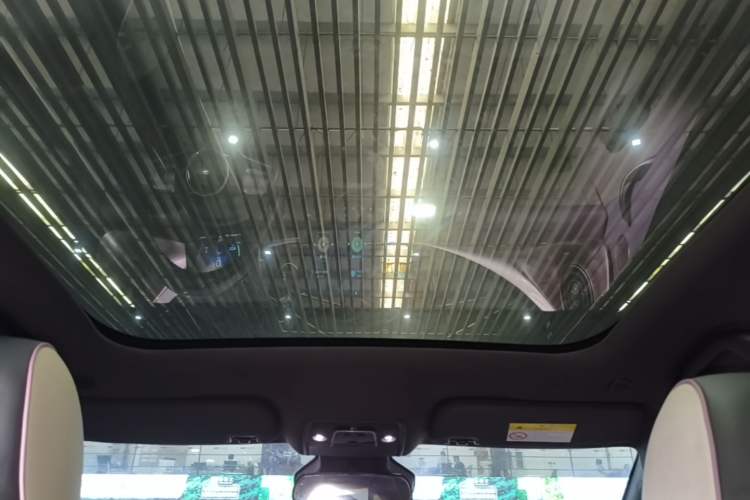 Used BYD Dolphin 2021 401km Knight Edition Headliner