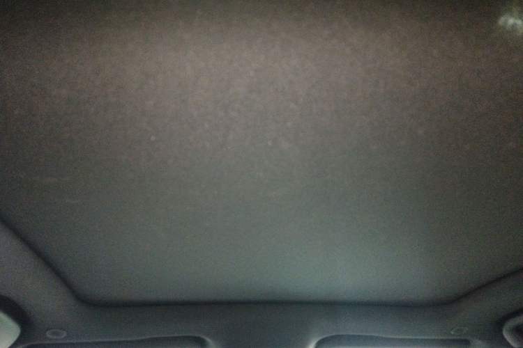 Used BYD Dolphin 2021 405 km Fashion Edition Headliner
