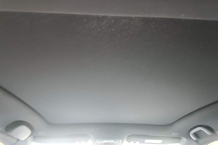 Used BYD Dolphin 2021 405 km Fashion Edition Headliner
