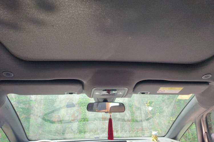 Used BYD Dolphin 2021 405 km Fashion Edition Headliner