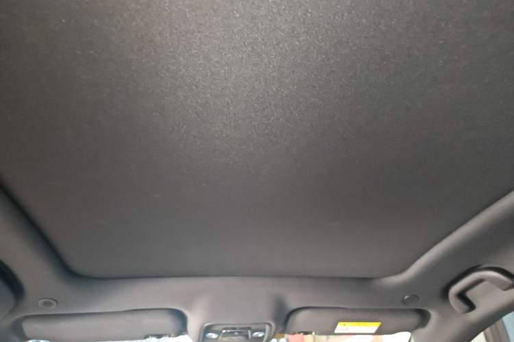 Used BYD Dolphin 2021 401km Knight Edition Headliner
