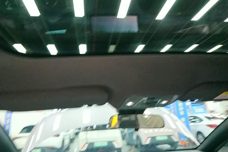 Used BYD Dolphin 2021 405 km Fashion Edition Headliner