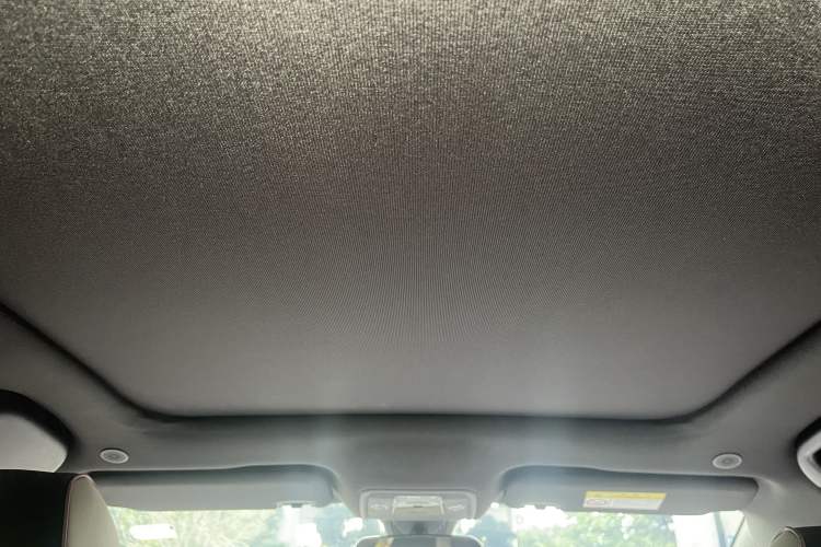 Used BYD Dolphin 2021 405 km Fashion Edition Headliner