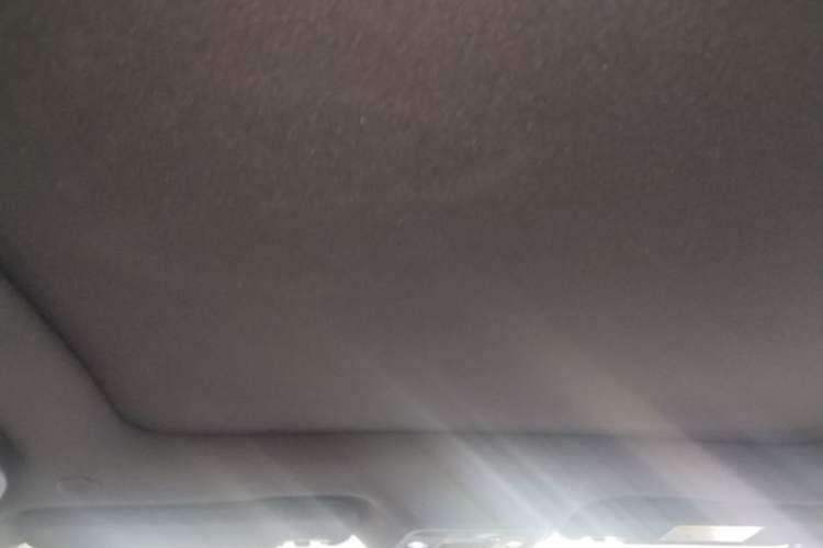 Used BYD Dolphin 2021 405 km Fashion Edition Headliner