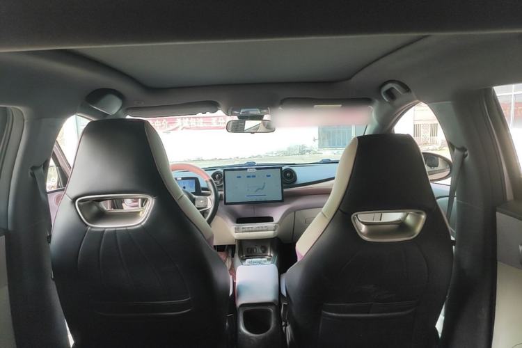 Used BYD Dolphin 2021 405 km Fashion Edition Headliner