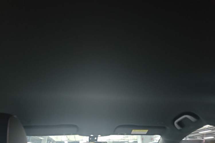 Used BYD Dolphin 2021 405 km Free Version Headliner