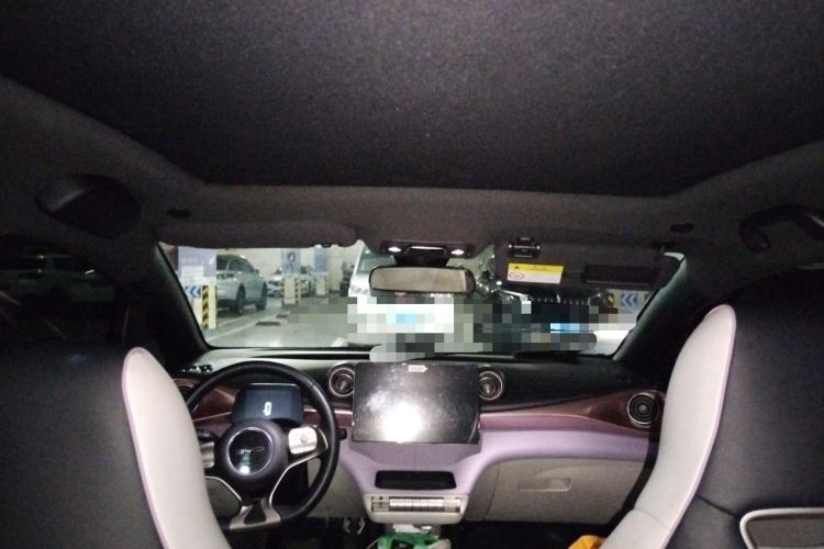 Used BYD Dolphin 2021 405 km Fashion Edition Headliner