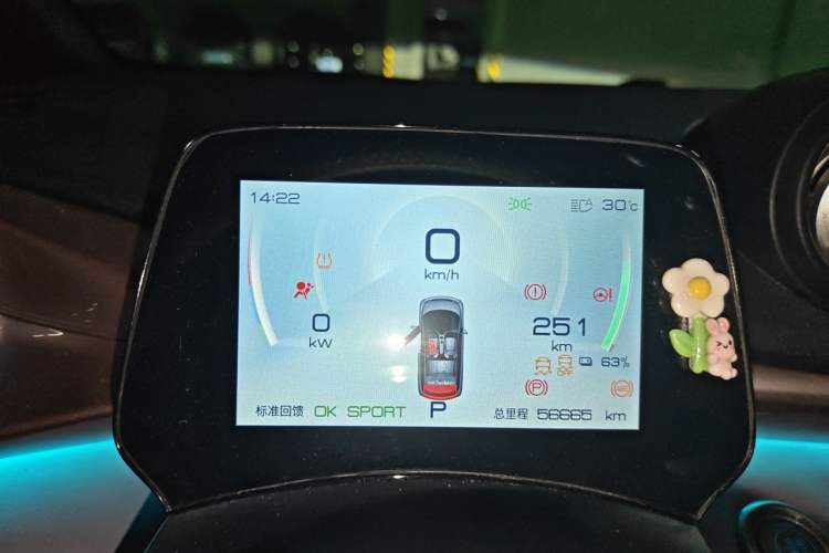 Used BYD Dolphin 2021 401km Knight Edition Instrument Cluster