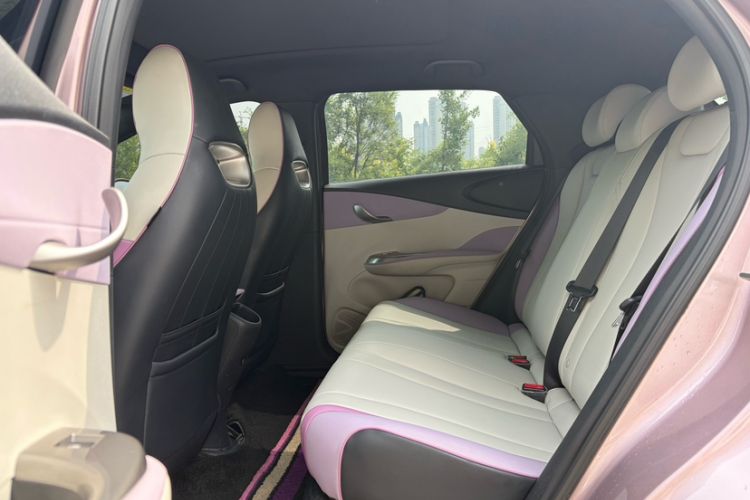 Used BYD Dolphin 2021 405 km Fashion Edition Interior 2
