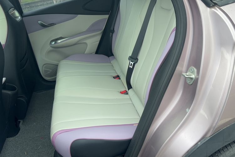 Used BYD Dolphin 2021 405 km Fashion Edition Interior 3