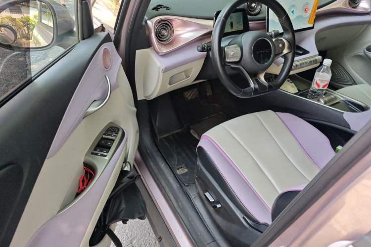 Used BYD Dolphin 2021 405 km Fashion Edition Interior 3