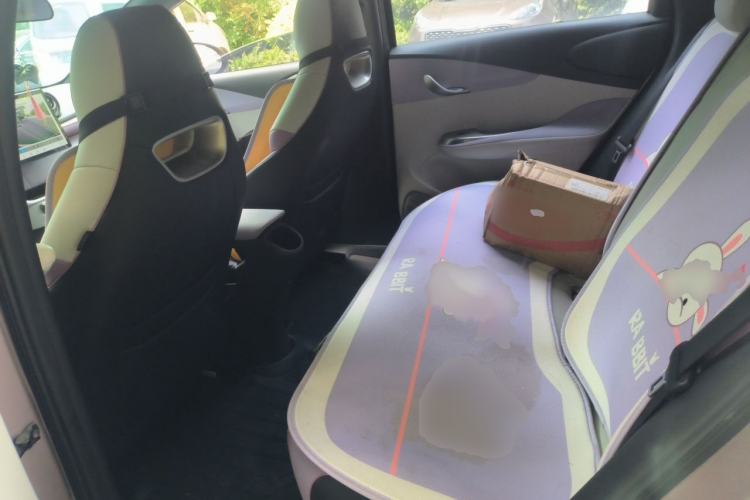 Used BYD Dolphin 2021 405 km Free Version Interior 4