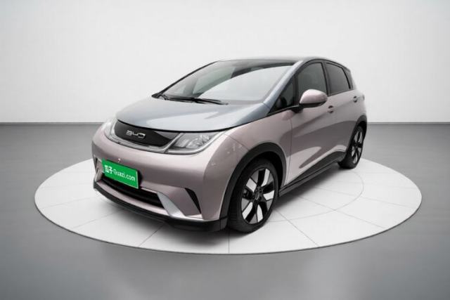 Used BYD Dolphin 2021 401km Knight Edition