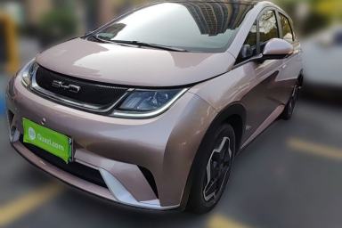 Used BYD Dolphin 2021 405 km Free Version